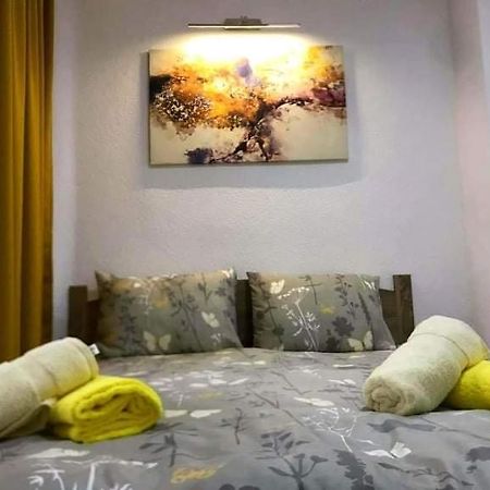 Apartment - Nane 2 - Krushevo Kruševo Esterno foto